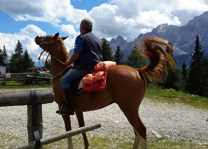 Rifugio Rinfreddo * Comèlico Superiore